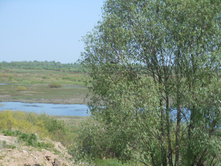 DSCN6312.JPG