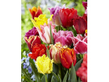 19,44���. ������� �����������, ����� ������(��� 10 ��. ���������� ������ 5��.)���14.jpg