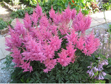 �������� ������� ������� ���� 100���