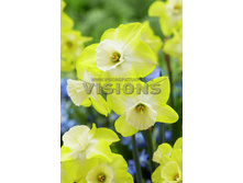 15,12���. ������� ������������(��� 10 ��. ���������� ������ 5��.)���15.jpg