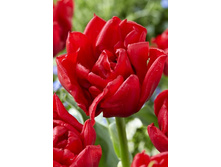 15,12���. ������� ��������(��� 10 ��. ���������� ������ 5��.)���15.jpg