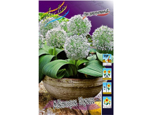 23,23���. ��� �����. ������ ����(���������� �� ����� �������� �� 3��.).jpg