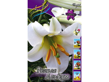 34,28���. �����  ������ �����(�������� ���� �� 5 ��., ����������� ����� 1��.).jpg