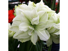 306,9���. ��������� �������(�������� ���� �� 1 ��., ����������� ����� 1��.)���15.jpg