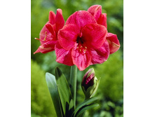 174,2���. ��������� ������(�������� ���� �� 1 ��., ����������� ����� 1��.).jpg