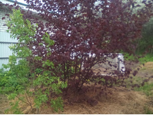 ������� � ������ �����