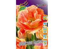 18,43���. ������� ������� �����(��� 10 ��. ���������� ������ 5��.).jpg