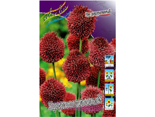 4,07���. ��� �����. �������������(���������� ������ ������ ���������� �� 15 ��.).jpg