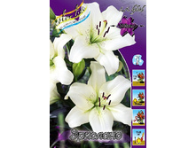 14,65���. �����  ��������(��� 10 ��. ���������� ������ 5��.).jpg