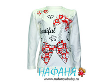 4955.jpg==390���