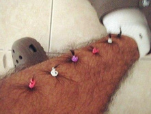 ��������)