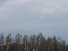 DSC02694.JPG