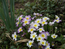 DSC02704.JPG