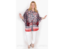 ������ W004.2