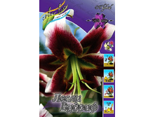 32,42���. �����  ����� ������(�������� ���� �� 10 ��., ����������� ����� 1��.).jpg