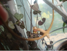 ��������� ���� � �������� ���� ����������.JPG