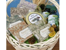 ����� "������� ��������". ���� �� �������