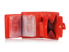 DM-P010-R007 �������� ���. ������� � ����������� Lattice ���.����