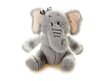 ���� ���� ����� 15 ��  - 283 ������