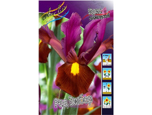 11,51���. ���� ����. ��� �����(��� 10 ��. ���������� ������ 5��.).jpg