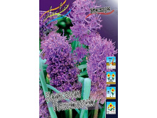 10,65���. ������� ������� ��������(��� 10 ��. ���������� ������ 5��.).jpg