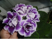 ���� ����.JPG