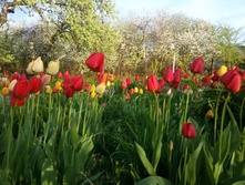 20150516 190322.jpg