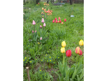 20150516 144139.jpg