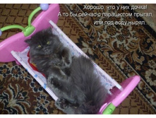 ��������)