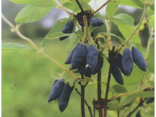 �����-���� ����-��. 140 ���. 1 ����� ���. �������� 1 ��..jpg