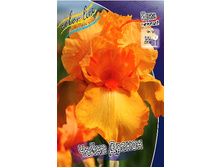 75,63���. ���� ���������� ����� ������(�������� ���� �� 3 ��., ����������� ����� 1��.).jpg