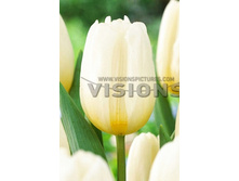 14,4���. ������� ���� ��������(��� 10 ��. ���������� ������ 5��.)���15.jpg