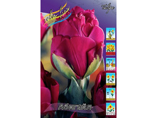 14,4���. ������� �������(��� 10 ��. ���������� ������ 5��.).jpg