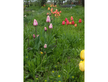 20150516 144126.jpg