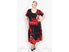 ������ SV221.1.jpg