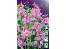 10,79���. ������ ����(��� 10 ��. ���������� ������ 5��.).jpg