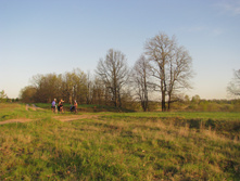 IMG_3479.jpg