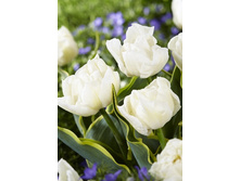 23,34���. ������� �� ���(��� 10 ��. ���������� ������ 5��.)���15.jpg