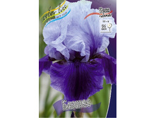 82,4���. ���� ���������� ������(�������� ���� �� 3 ��., ����������� ����� 1��.).jpg