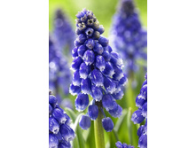 9,49���. ������� ����� �����(���������� ������ ������ ���������� �� 10 ��.)���15.jpg