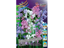 9,35���. ������ �������������, �����(���������� ������ ������ ���������� �� 10 ��.).jpg