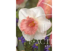 44,26���. ������� ����!(�������� ���� �� 7 ��., ����������� ����� 1��.)���14.jpg