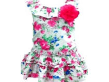 13-2009-I�������  394,50