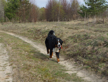 DSC02684.JPG