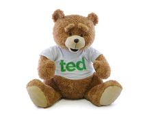 ����� ��� 65 �� - 1654 �����