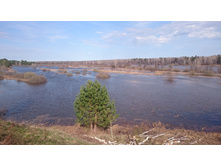 ������� (2).JPG