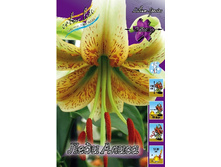 39,26���. �����  ���� ����� (�������� ���� �� 5 ��., ����������� ����� 1��.).jpg