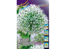 49,2���. ��� �����. ����� �������(�������� ���� �� 3 ��., ����������� ����� 1��.).jpg