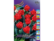 11,51���. ������� ����(��� 10 ��. ���������� ������ 5��.).jpg