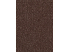 ������ �����.jpg